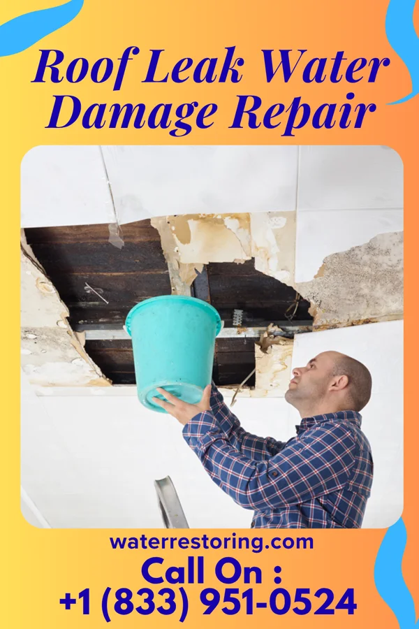 Roof Leak Water Damage Repair in Guilford, MO