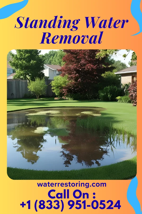 Standing Water Removal in Guilford, MO